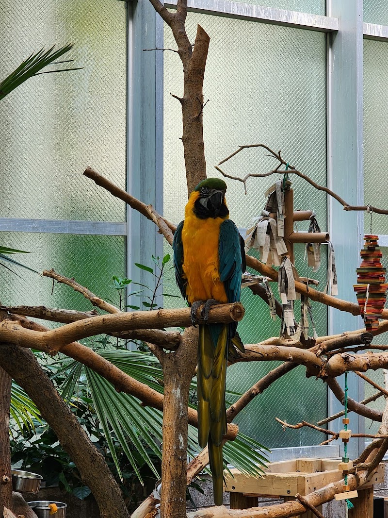 Matilda R. Wilson Free-Flight Aviary