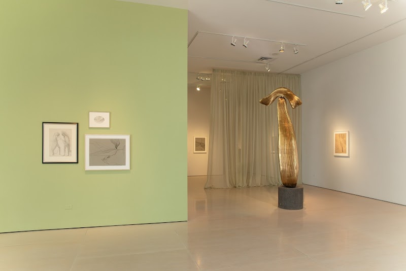 McClain Gallery - Photo 4