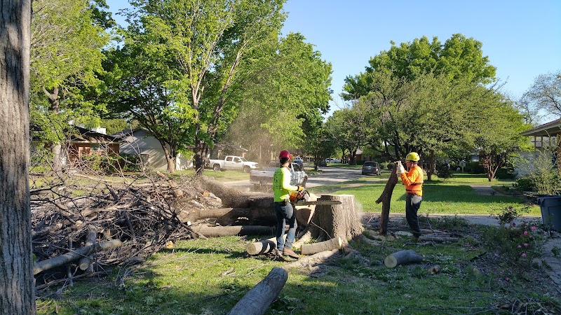 McCree Park and Playground - Photo 2