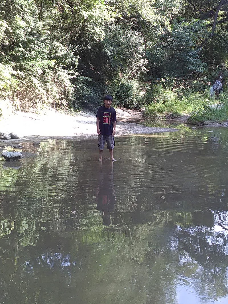 McCree Park and Playground - Photo 9