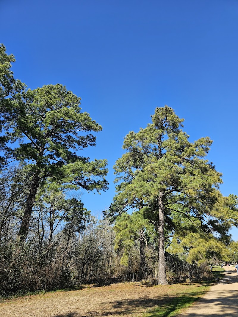 Memorial Park - Photo 3