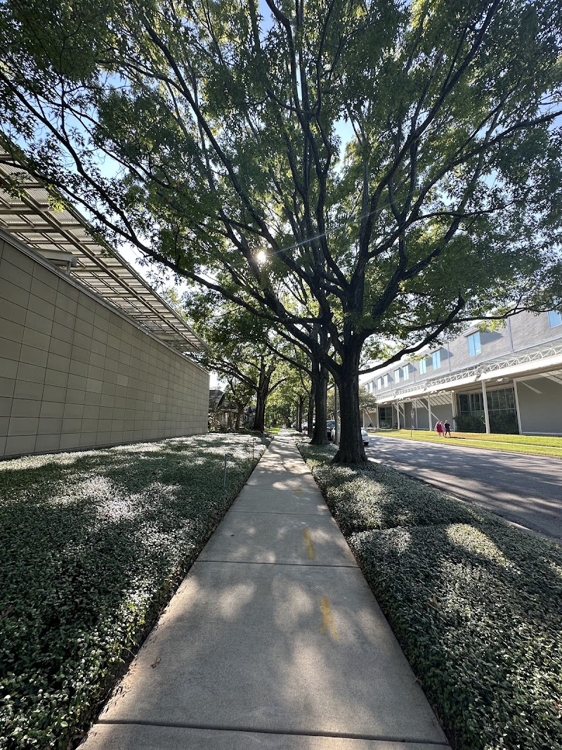 Menil Drawing Institute - Photo 5