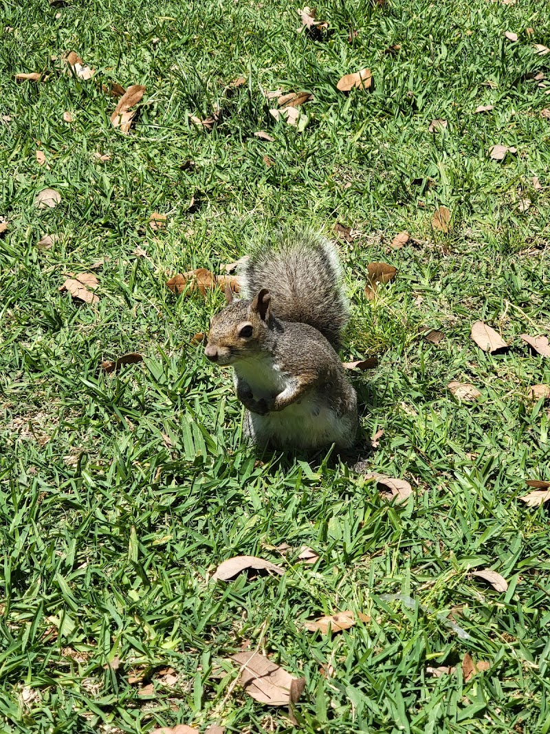 Menil Park - Photo 10