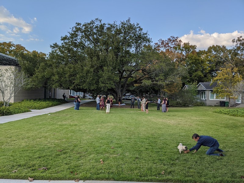 Menil Park - Photo 6