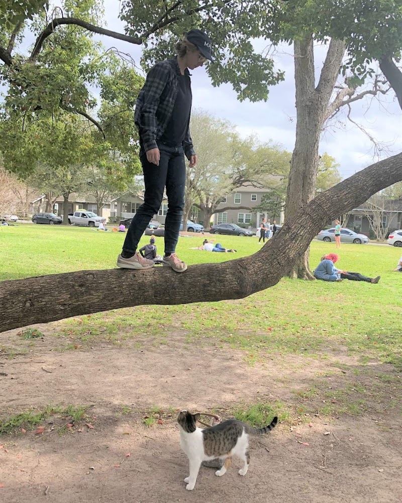 Menil Park - Photo 8