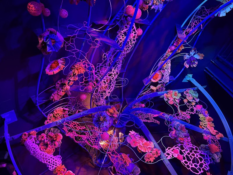 Meow Wolf Houston's Radio Tave - Photo 4