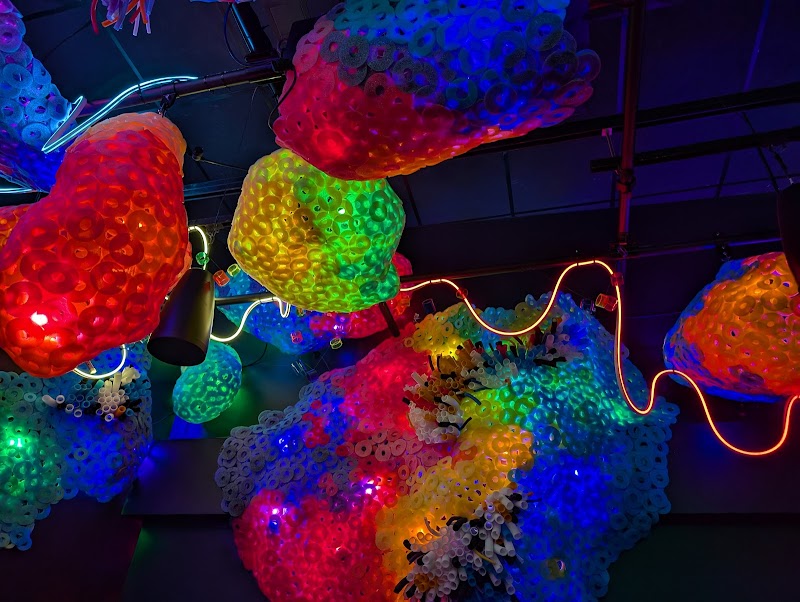 Meow Wolf Houston's Radio Tave - Photo 6