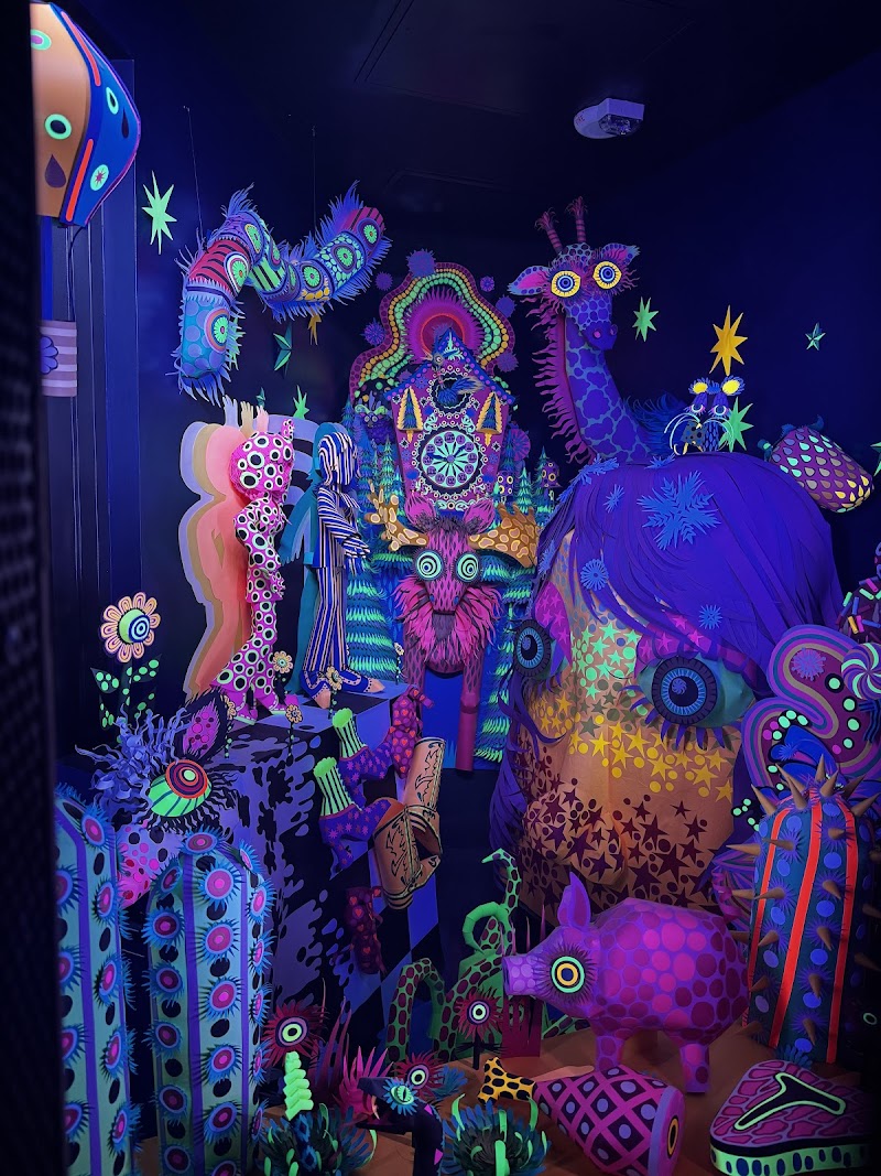 Meow Wolf Houston's Radio Tave - Photo 7