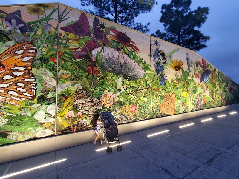 Midtown Park - Photo 5