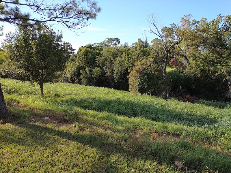 Moody Park Playground - Photo 4