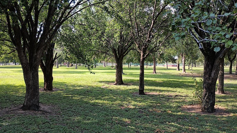 Moody Park Playground - Photo 6