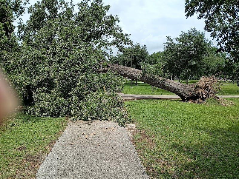 Moody Park Playground - Photo 8