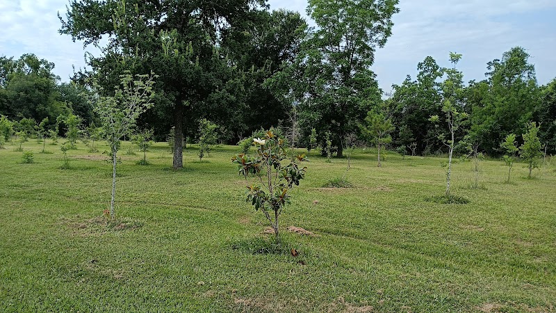Moody Park Playground - Photo 9