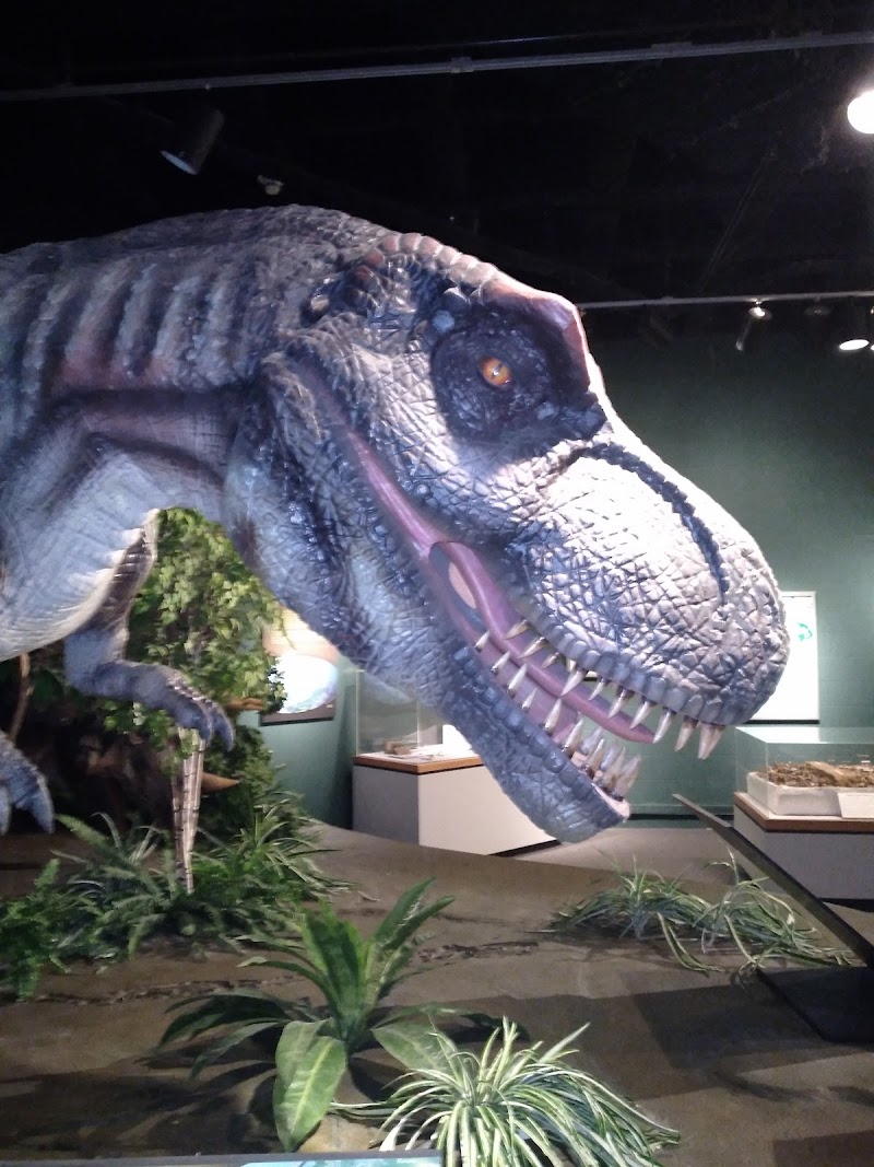 MoSH 3D Giant Theater