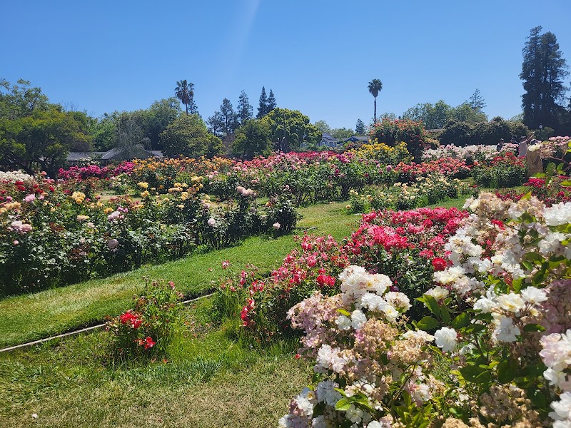 Municipal Rose Garden