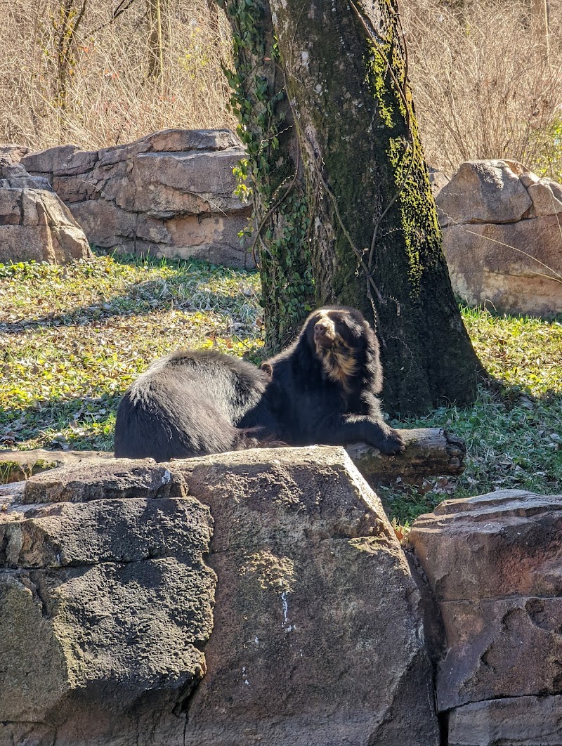Nashville Zoo at Grassmere