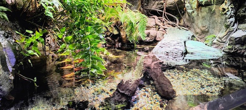 National Aquarium Baltimore