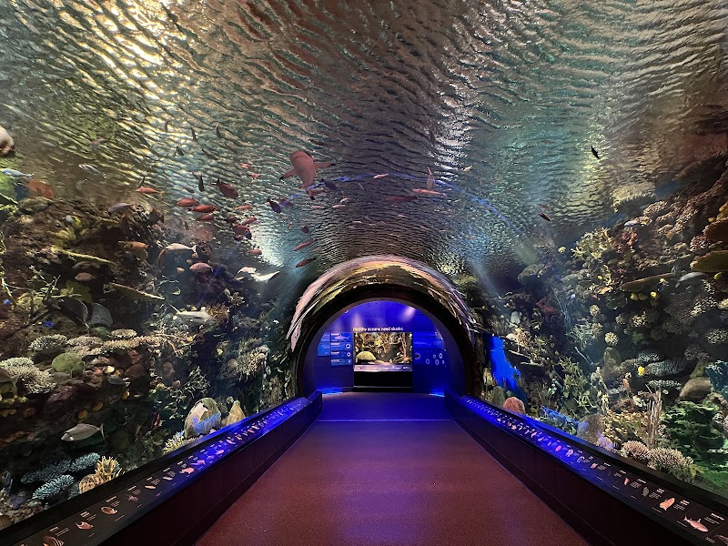 New York Aquarium