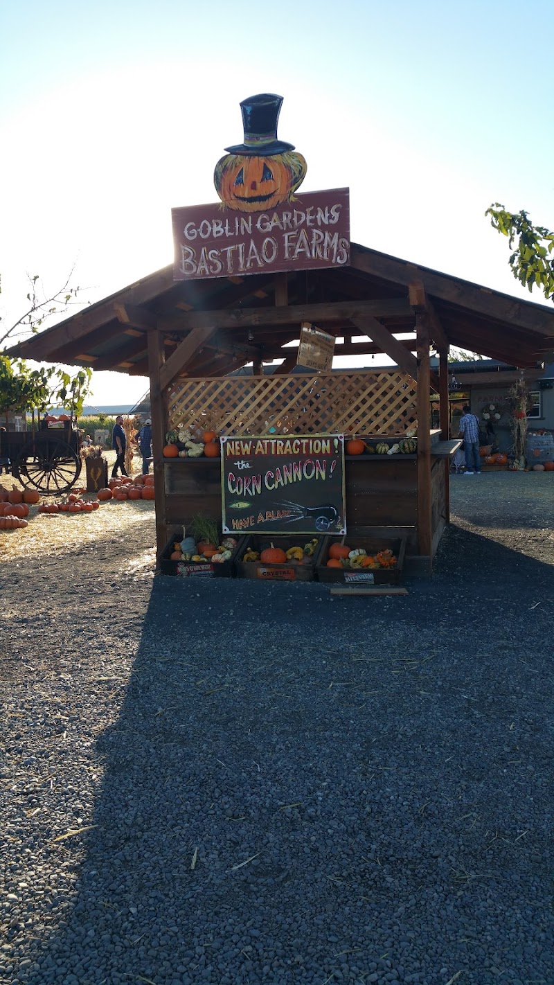 Nick and Ray’s Pumpkin Patch