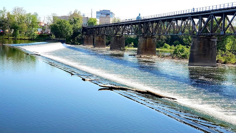 Norristown Fish Passage