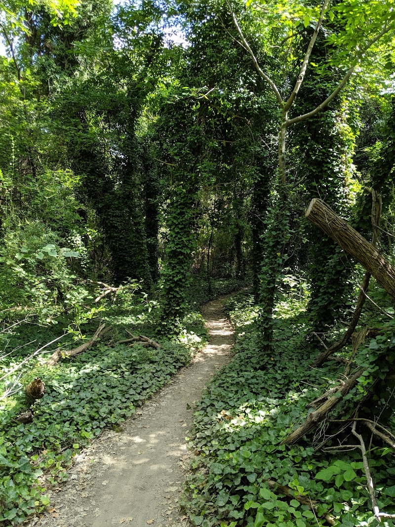 Oak Cliff Nature Preserve