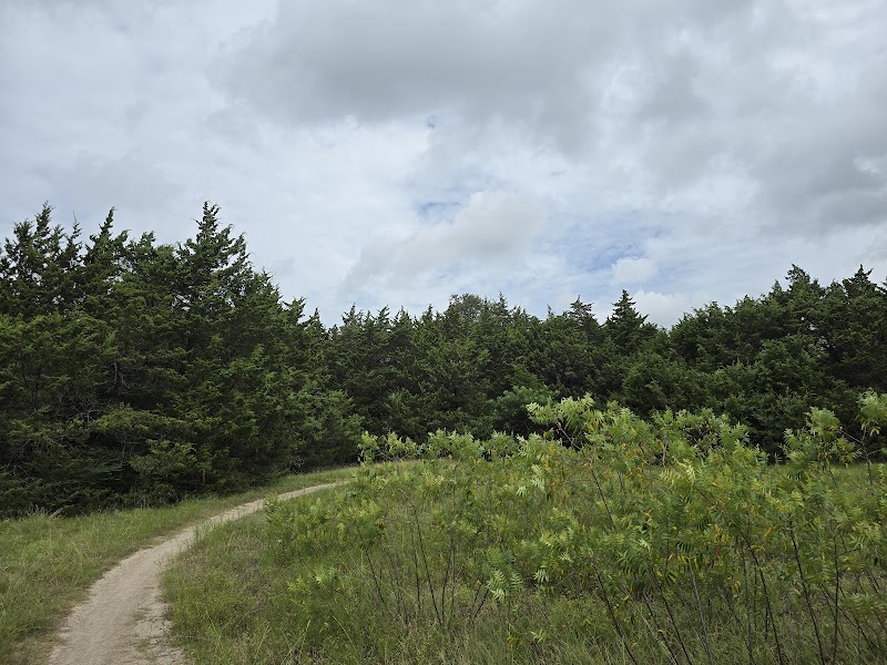Oak Cliff Nature Preserve - Photo 10