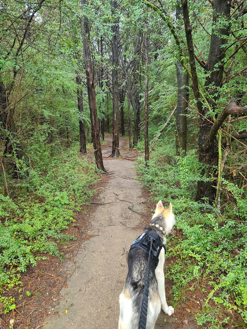 Oak Cliff Nature Preserve - Photo 5
