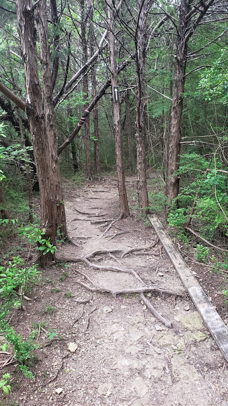 Oak Cliff Nature Preserve - Photo 7