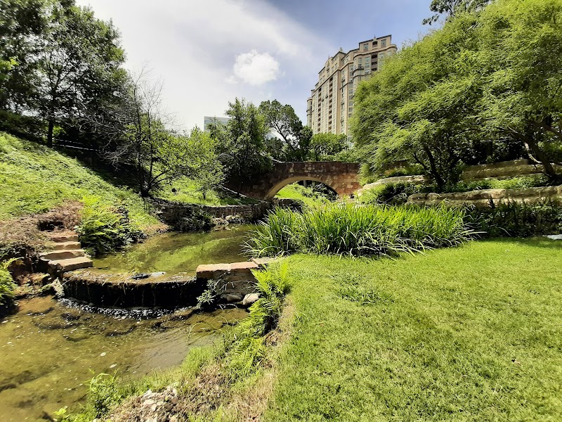 Oak Lawn Park - Photo 10