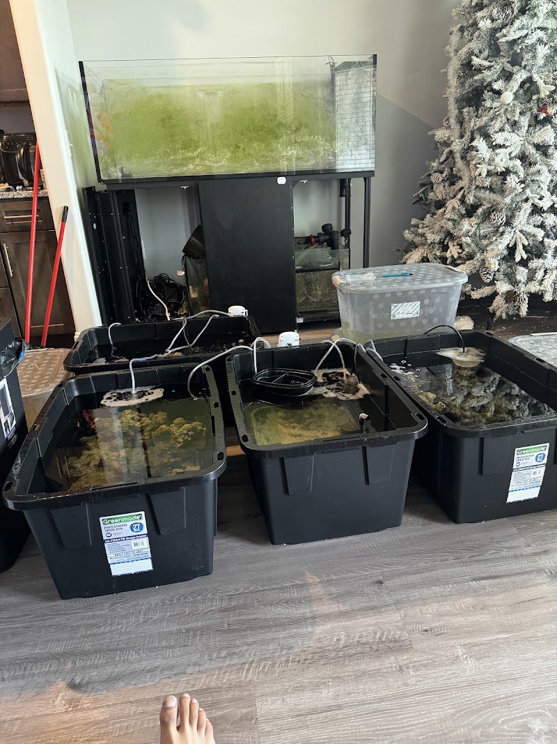 OceanCare Relocation inc