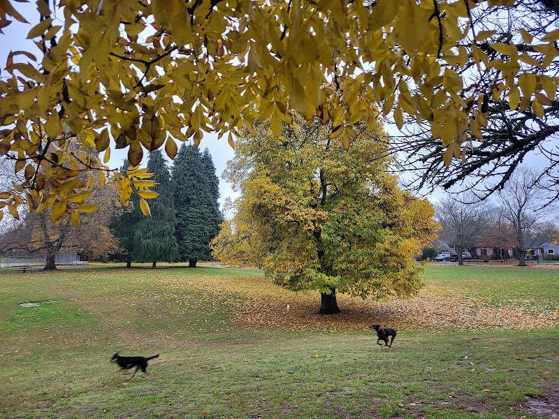 Off-Leash Dog Park