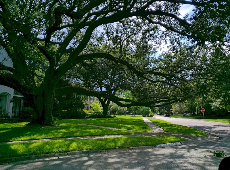 Old Braeswood Park - Photo 4