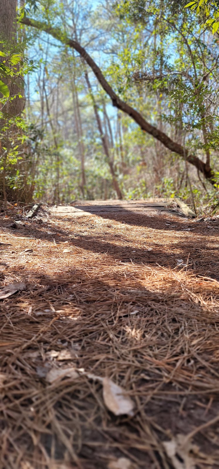 Osmanthus Trail
