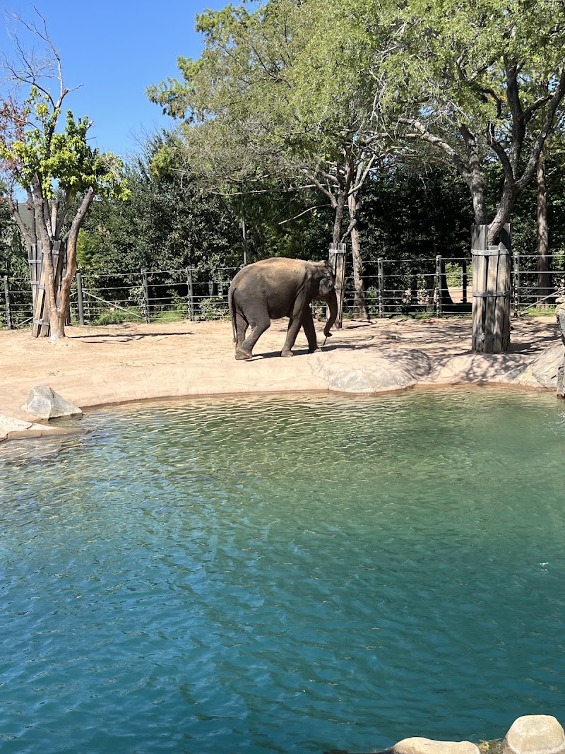 Outdoor Learning Theater - Fort Worth Zoo