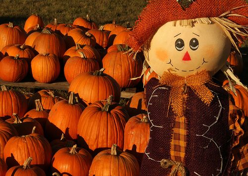 Owl Creek Farm