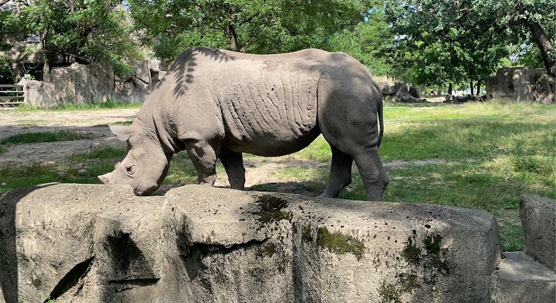 Pachyderm House