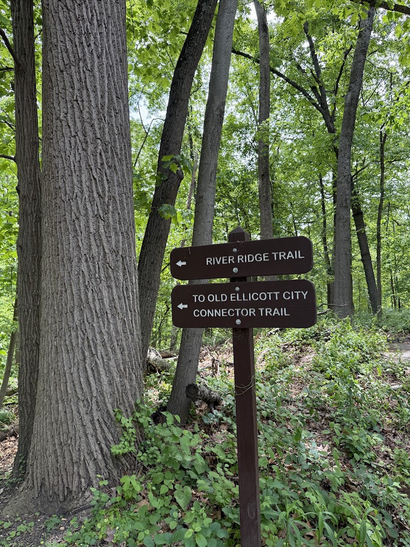 Patapsco Valley State Park - Hollofield Area