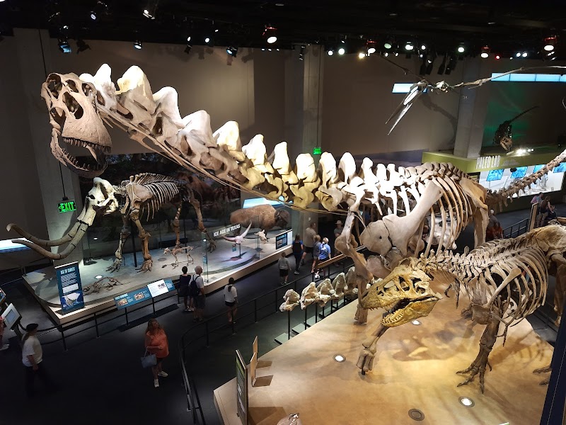 Perot Museum of Nature and Science - Photo 3