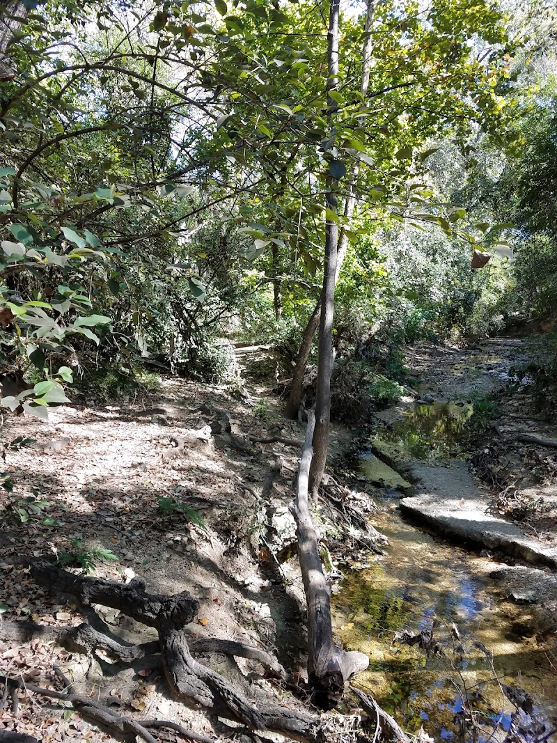Peter Pan Park - Photo 10