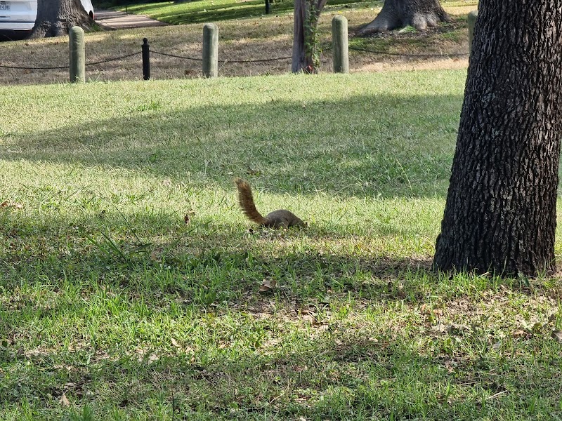 Peter Pan Park - Photo 8