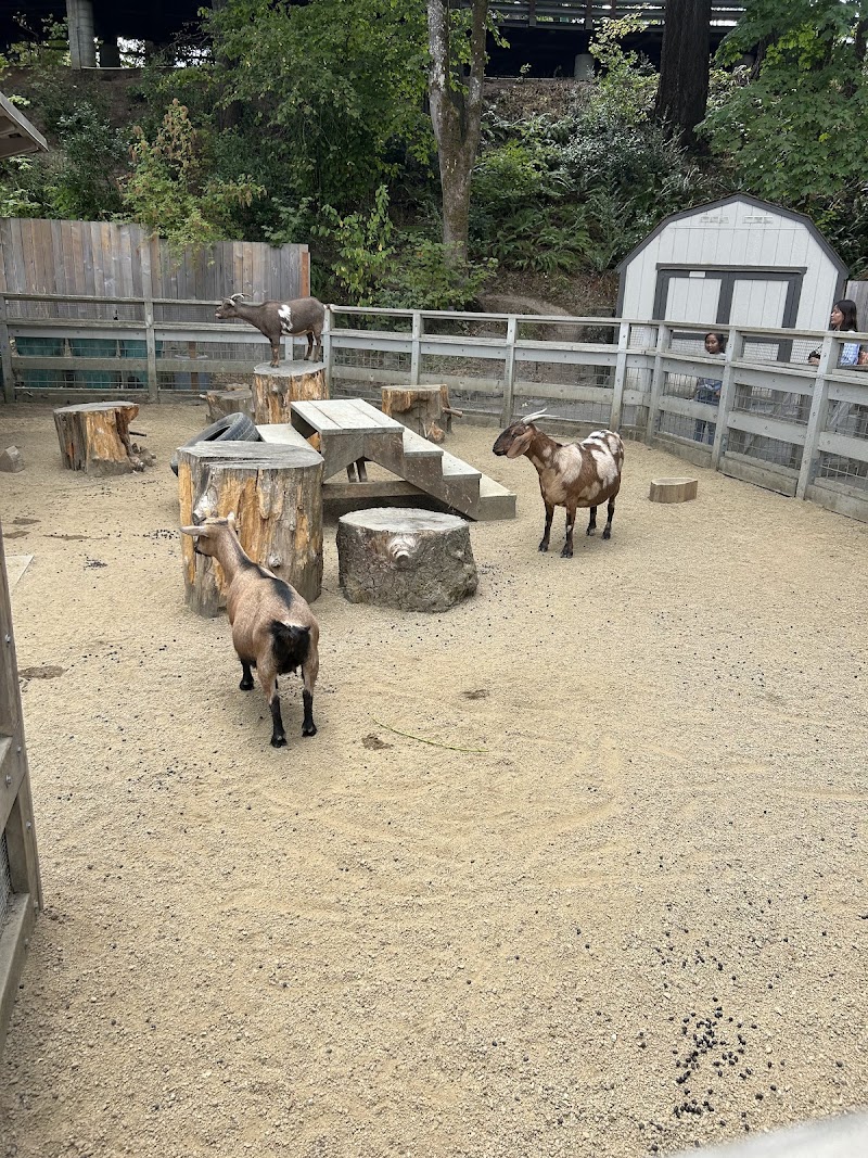 Petting zoo