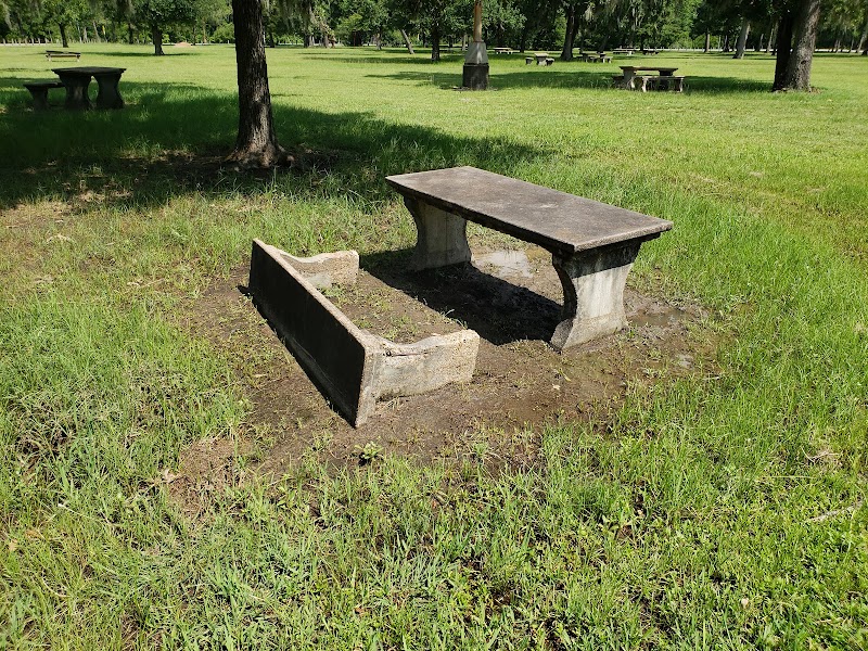 Picnic Loop - Photo 5
