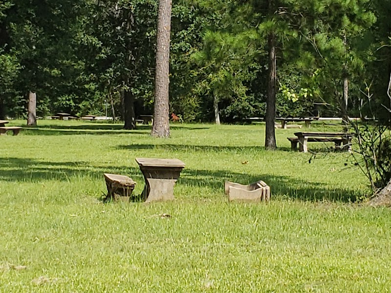 Picnic Loop - Photo 9