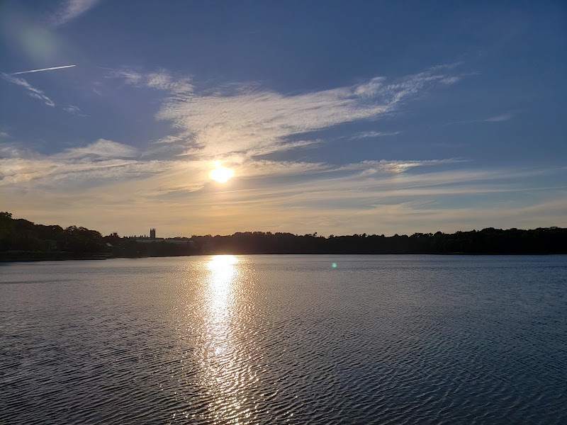 Pine Tree Preserve