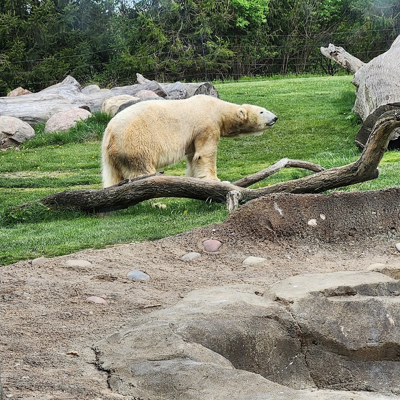 Polar Frontier