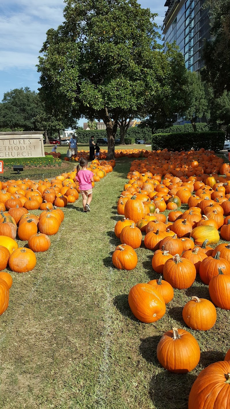Pumpkin Park - Photo 10