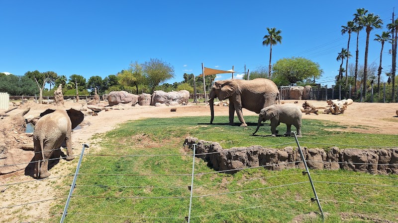 Reid Park Zoo