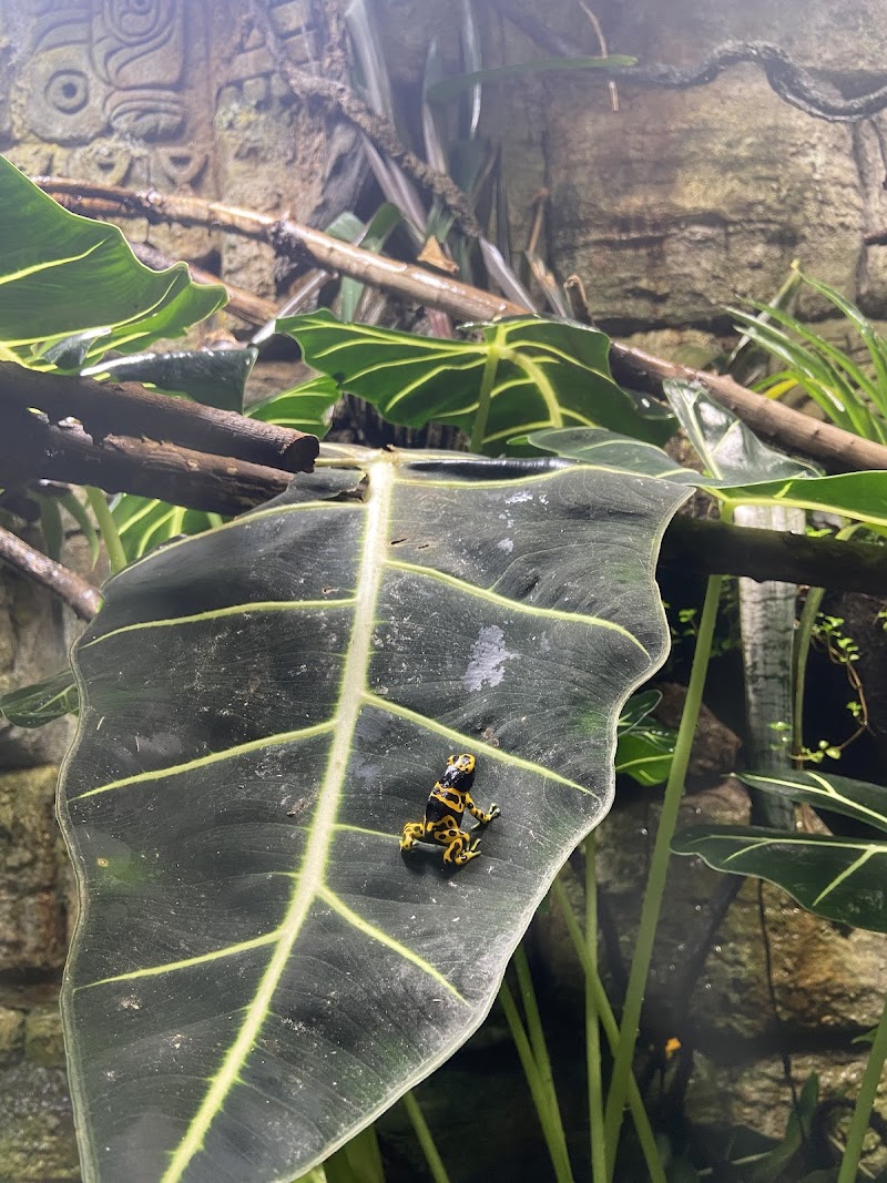Reptile house