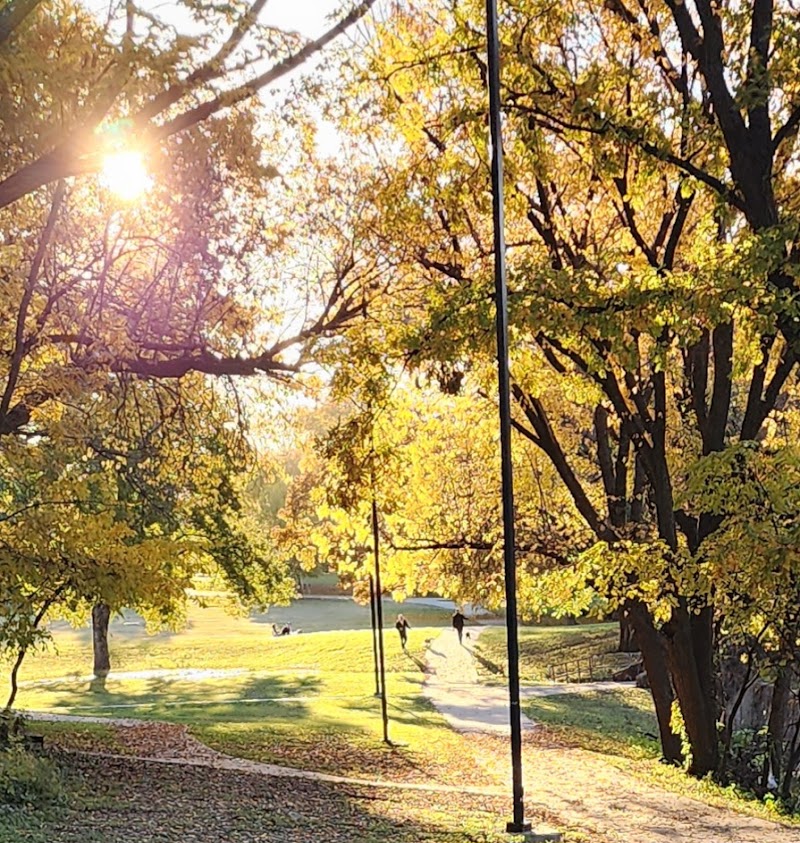 Reverchon Park - Photo 3