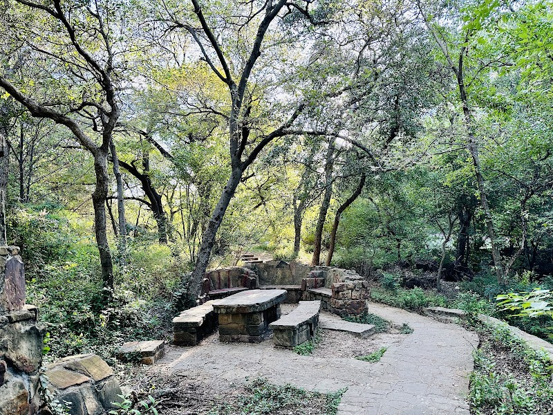 Reverchon Park - Photo 7